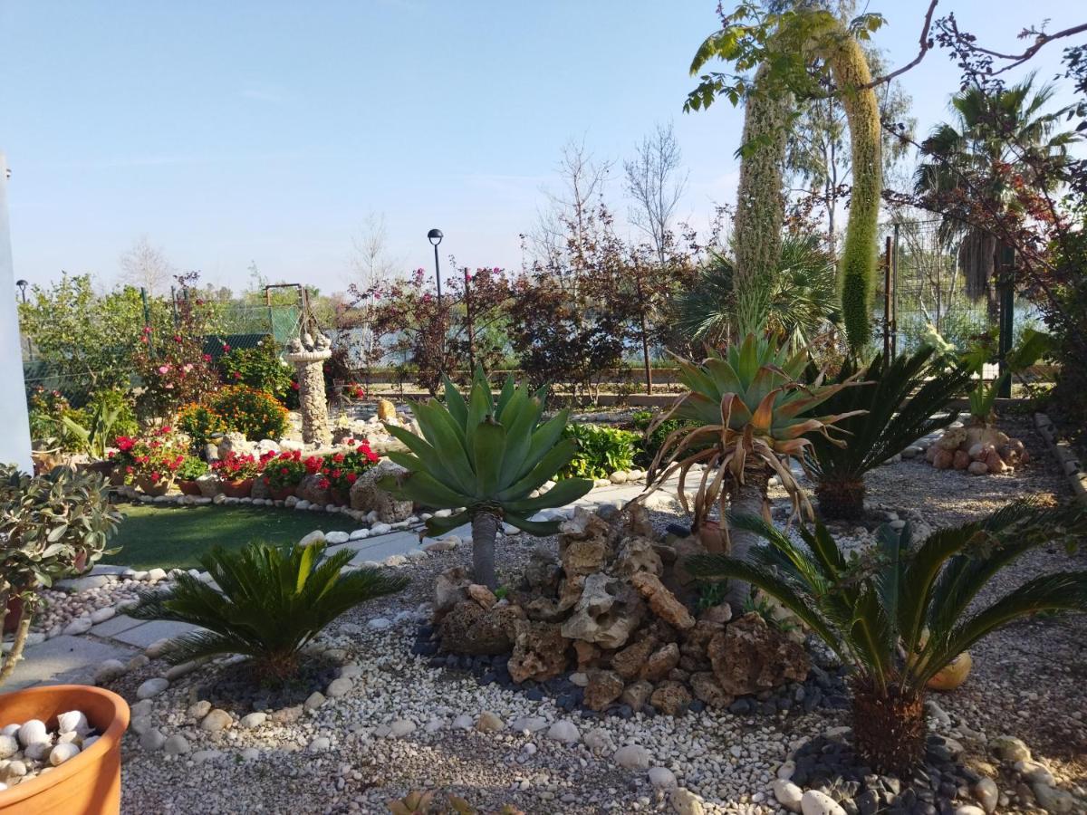Casa Joan De L'Illa Villa Deltebre Bagian luar foto